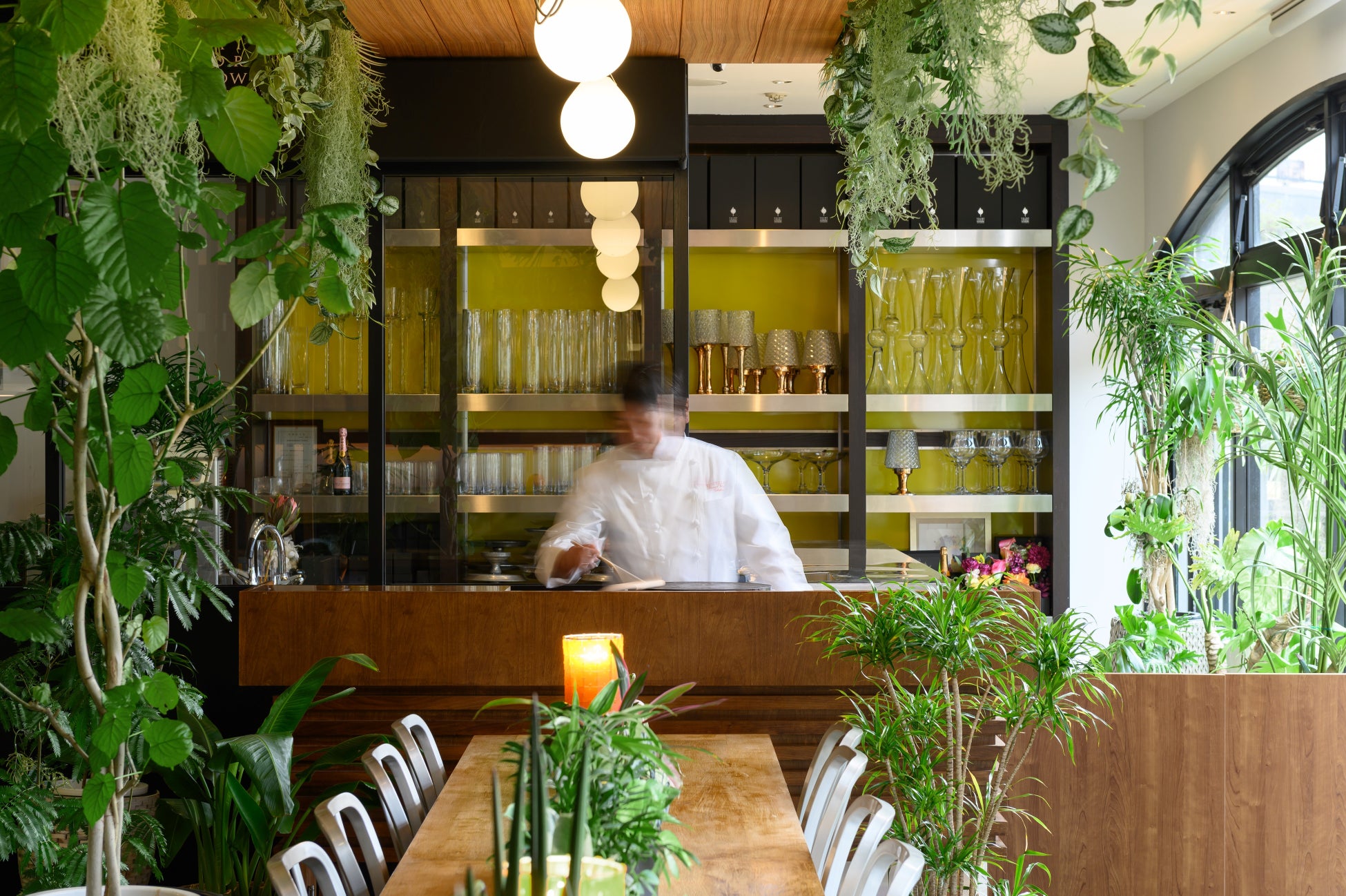 グリーンあふれる店内と開放感たっぷりのテラスでペットと一緒に楽しむガレット＆クレープ専門店「MARINA CAFÉ」リニューアルオープン