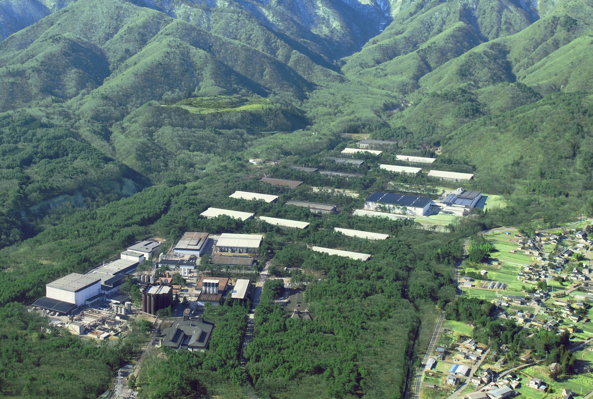 好評につき今年も開催！ソファでゆったり“屋内花見”！雨や寒さ、花粉を気にせず楽しめる。新宿駅近の隠れ家ダイニングで、ワイン片手にお花見！春を満喫しましょう♪