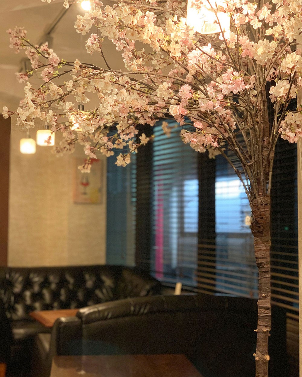 好評につき今年も開催！ソファでゆったり“屋内花見”！雨や寒さ、花粉を気にせず楽しめる。新宿駅近の隠れ家ダイニングで、ワイン片手にお花見！春を満喫しましょう♪
