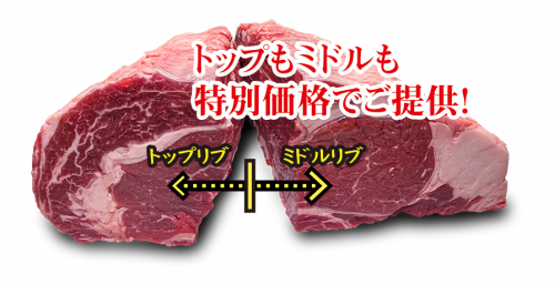 新たな仲間が増えてリニューアル！ちっちゃくてかわいい小粒のグミ「ポケぷに」2024年3月5日（火）より全国発売！