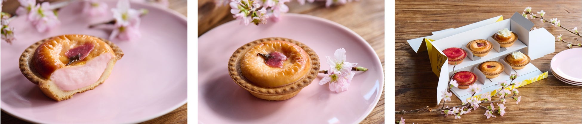 焼きたてチーズタルト専門店「BAKE CHEESE TART」から、お花見にピッタリの春の新商品が登場！ピンク色の可愛らしい桜花を添えた「焼きたてチーズタルト さくら」！