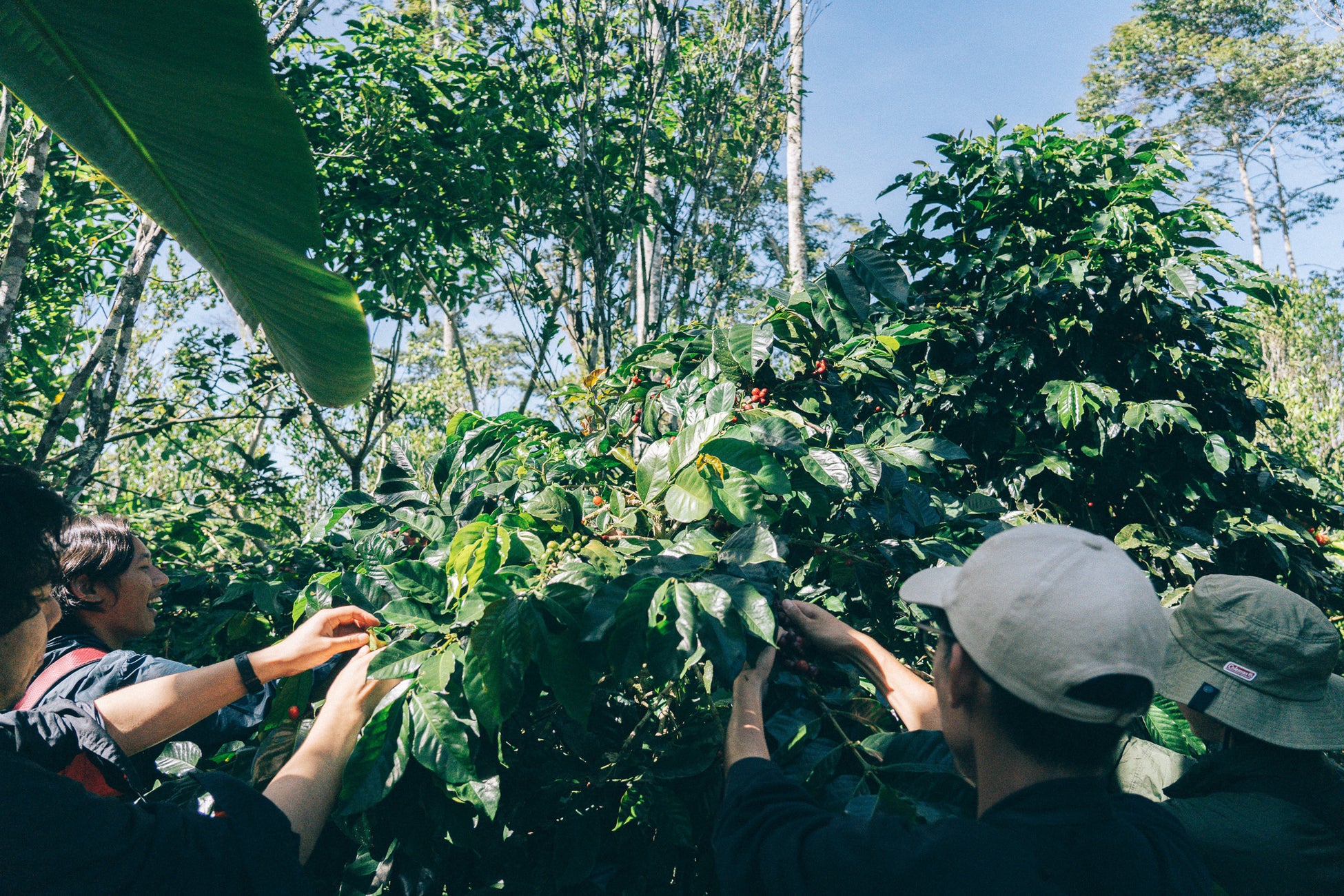 期間限定の人気商品がカムバック!『ブラックサンダーミニバー 香る発酵バター』新発売! 『いちごのサンダーミニバー』『ブラックサンダーミニバー カカオ72%』リニューアル