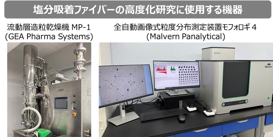 食べればじんわりからだと心が整う、発酵食品のみそ汁と栄養満点おにぎりの 究極のミニマル2品献立集・大好評第２弾！3/22発売『もっと からだ整え おにぎりとみそ汁』購入で電子版を1冊丸ごとプレゼント
