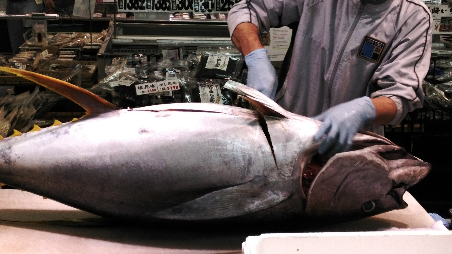 株式会社HOLUSが経済産業省主催2023年度「はばたく中小企業・小規模事業者300社」にベトナムにおける日本の野菜加工企業として日本で唯一受賞