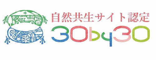 人気の「ティー コレクション」からグリーンティーとレモンティーの香りが登場！