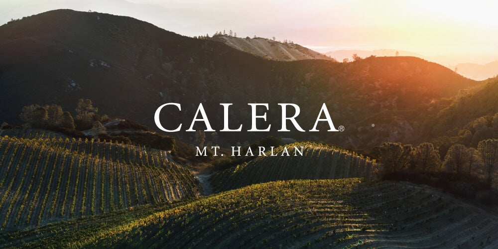 ビタミンC高配合タブレット『シーズケース』4月8日発売