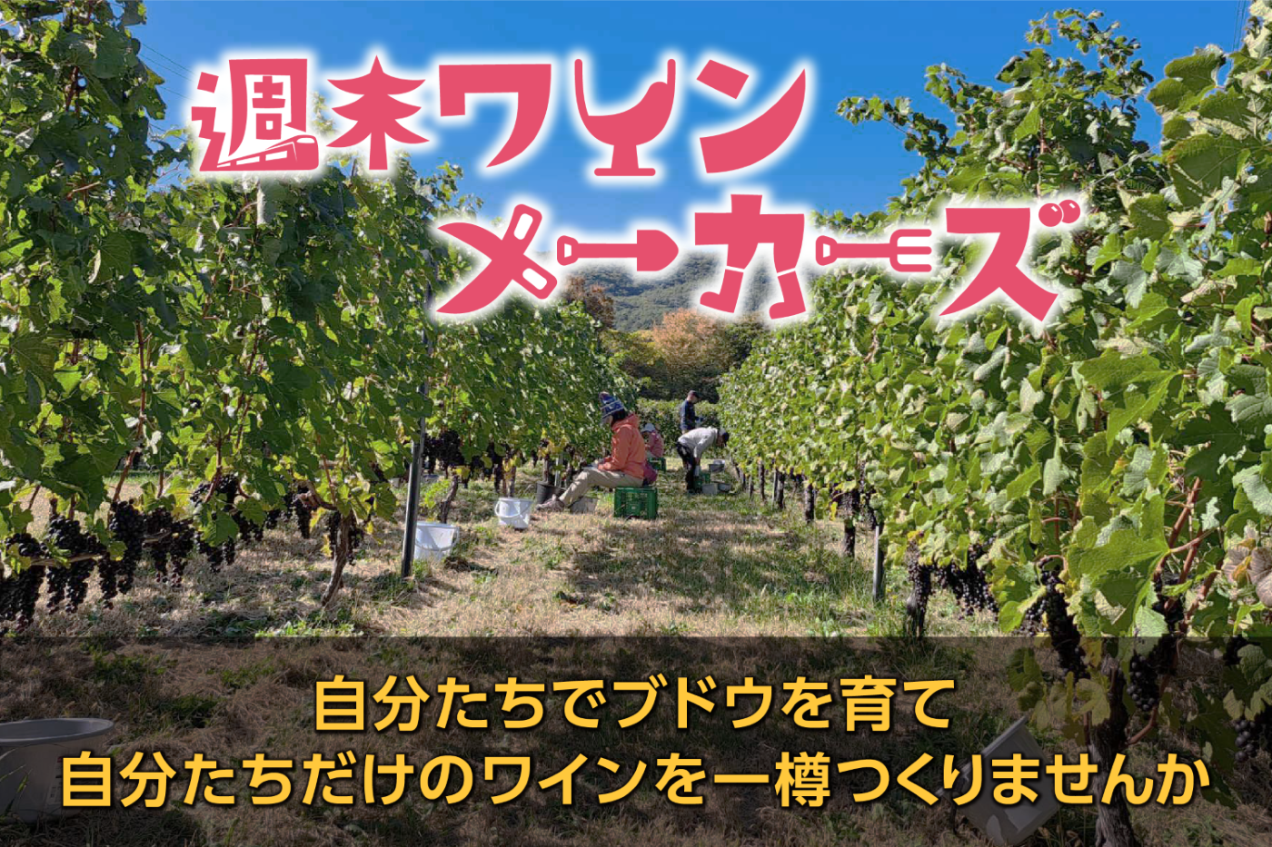 日本のジビエを牽引する【宇佐ジビエファクトリー】の活動が
『全国農業新聞』に31日掲載。