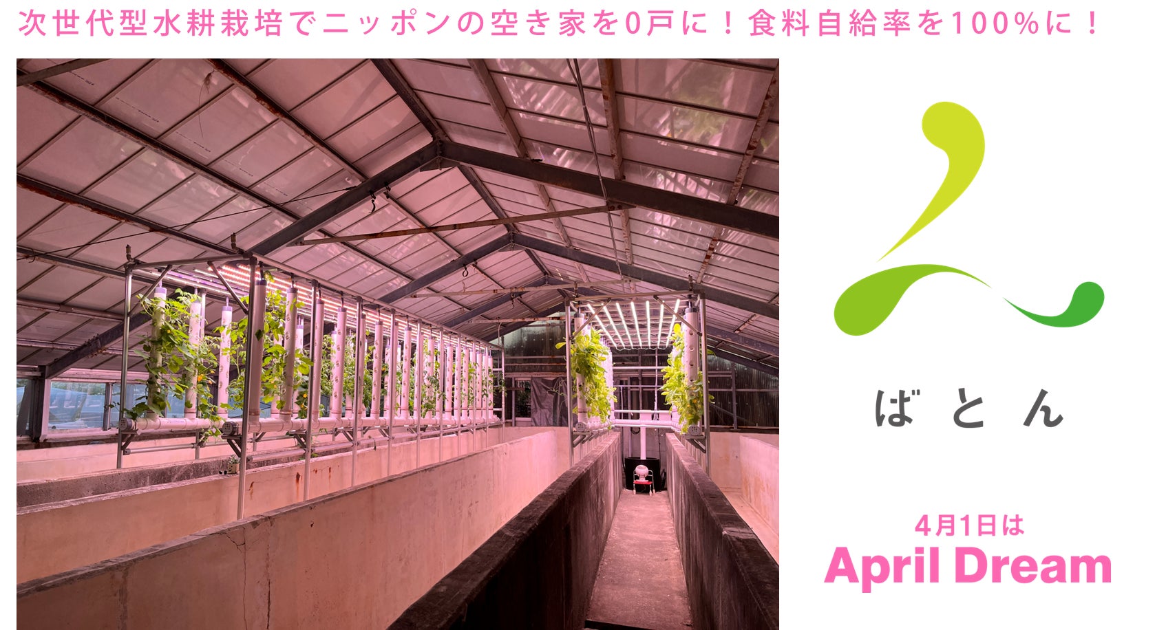 次世代型水耕栽培でニッポンの空き家を0戸に！食料自給率を100%に！