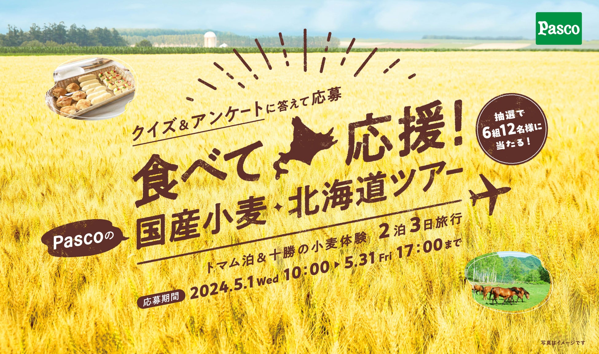 完全栄養食のパイオニア ベースフード　株式会社ASSISTとのサプライヤー契約を締結