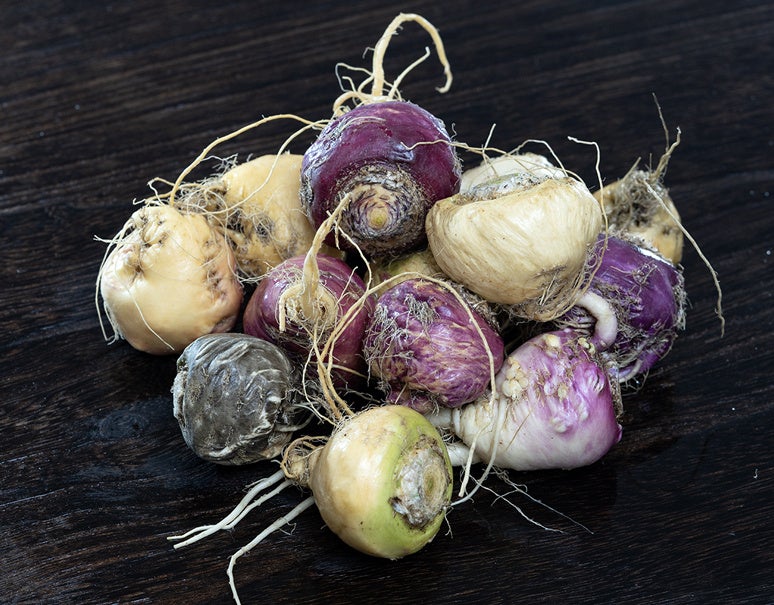 横浜企業コラボ【ハングリータイガー × VANILLABEANS】エイプリルフールの架空商品から生まれた限定クッキーを2024年4月13日(土)より先着50名様にプレゼント！