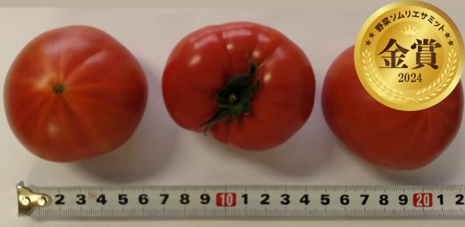 「初夏のかながわ味わい弁当」を期間限定で販売!