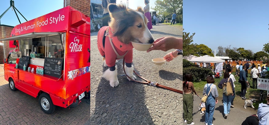 愛犬もしっかり熱中症対策！横浜で大人気のドッグランで、愛犬向け糀甘酒 “Cozy Milk”（コージーミルク） を提供し、「運動時の水分補給」の重要性を訴求。