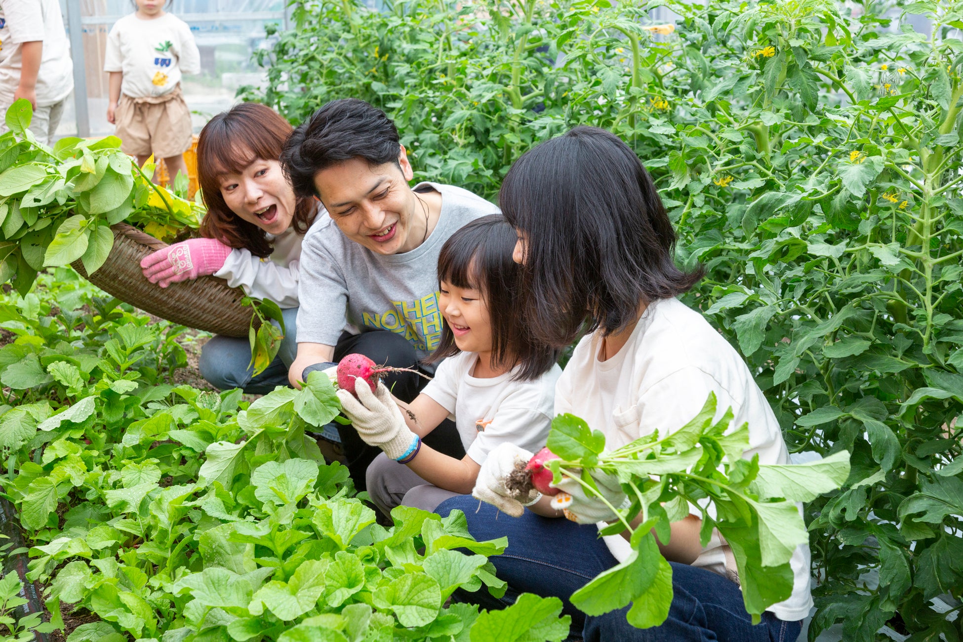 「博多南自然体験ファーム」（福岡県那珂川市）、野菜収穫体験と新メニューのキャンプ飯ランチを充実。2024年4月よりリニューアルオープン