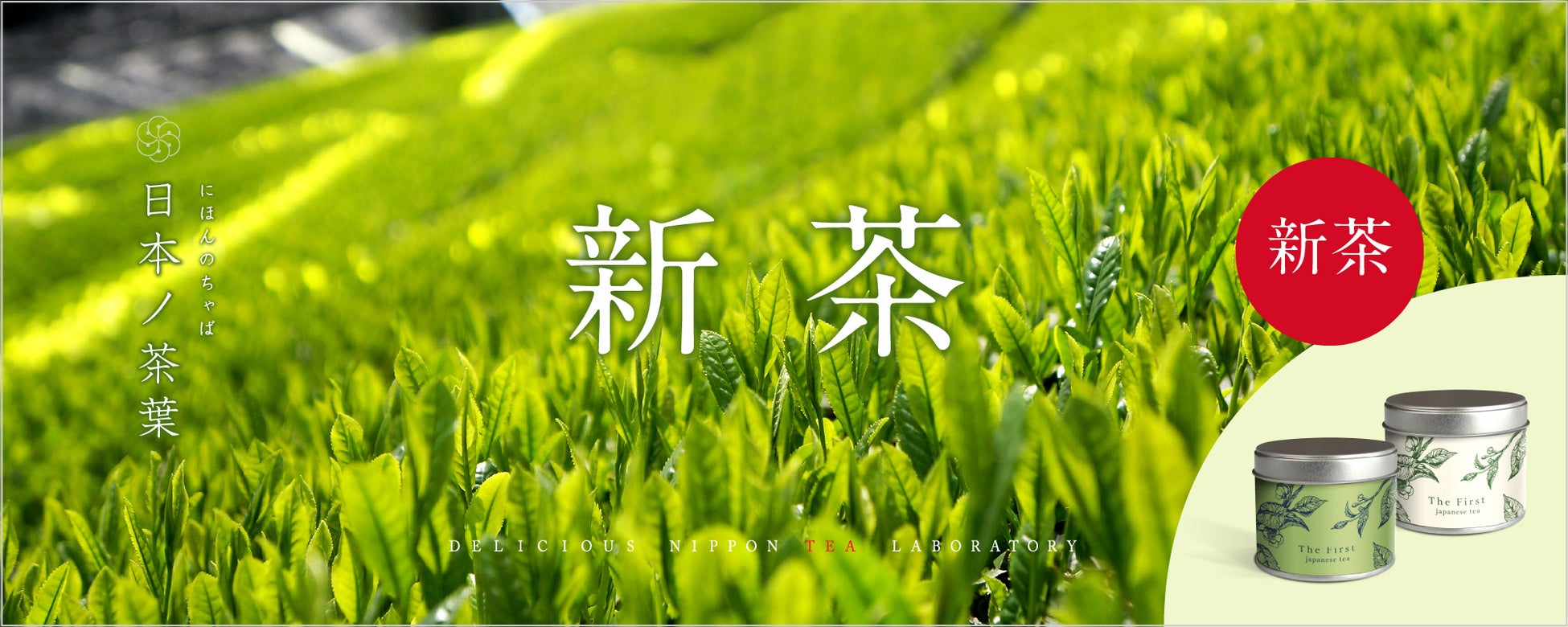 新茶シーズン到来！できたての新茶をおいしい日本茶研究所よりお届けします！