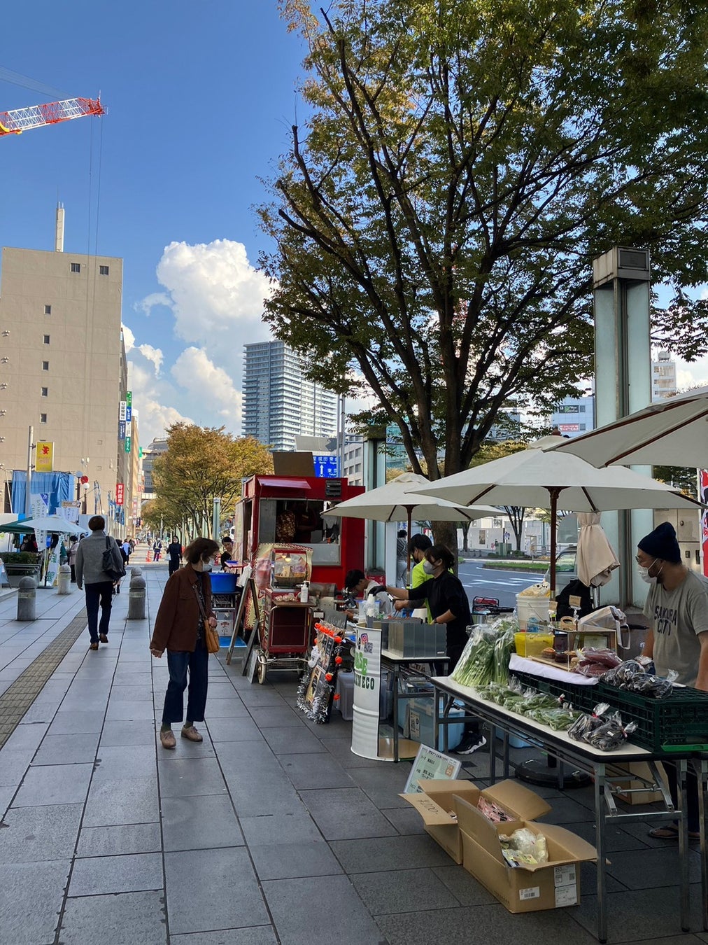 千葉大生とパスタレストラン「今日和」がコラボしたフードロス削減メニュー　4月24日に提供開始