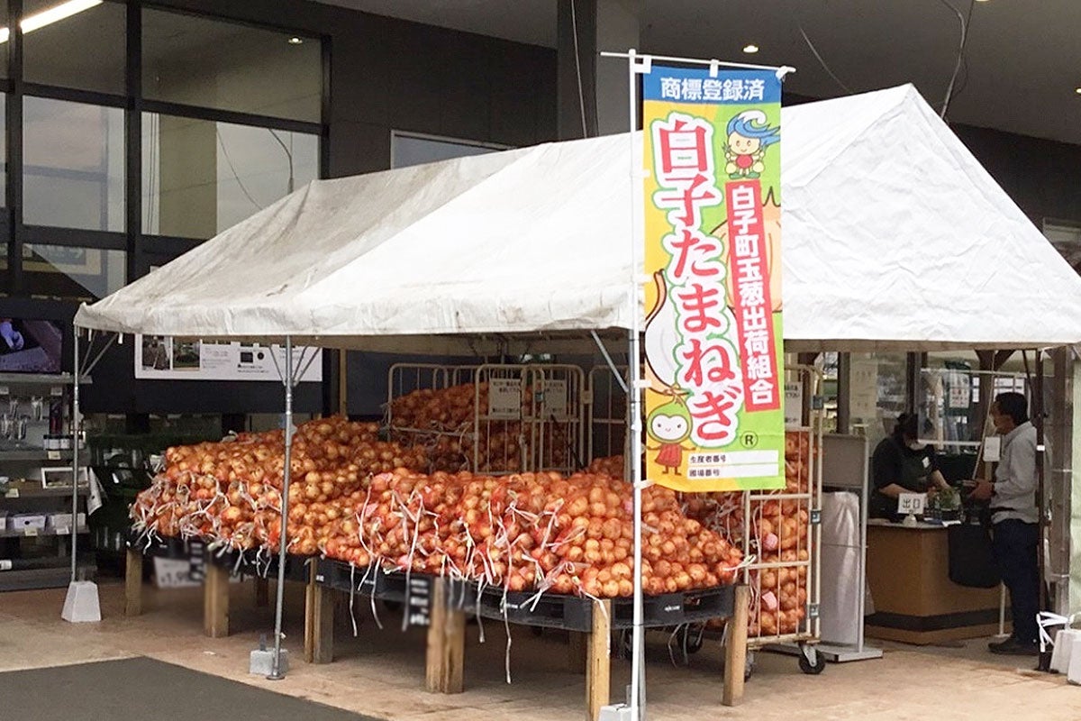 越境サブスクサービスを手掛けるICHIGOが、横浜信用金庫と連携し「Sakuraco」箱根テーマコラボボックスを4-5月で販売！