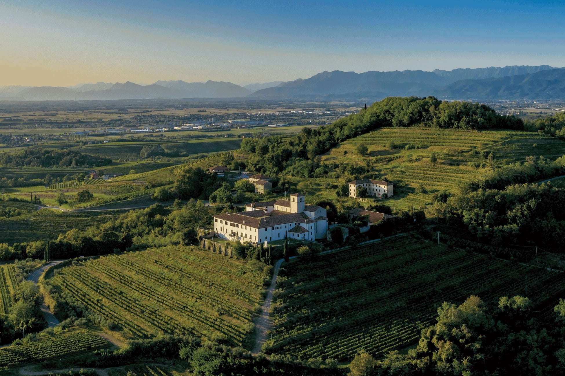 「リヴィオ・フェッルーガ」と「カステッロ・ディ・モンテポ」の2社が同時来日　イノベーティブイタリアン「FARO(ファロ)」でワインメーカーズディナーを6月5日に開催