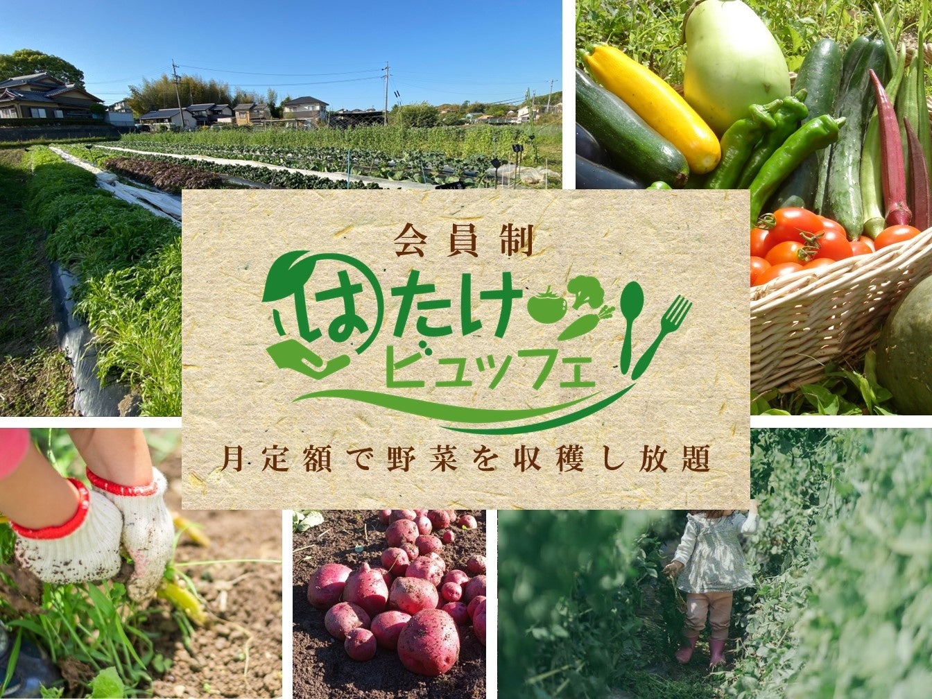 月定額で多種類の野菜を収穫し放題！SDGsに貢献するサブスクリプションサービス「はたけビュッフェ」5月上旬に埼玉県さいたま市と愛知県岡崎市でオープン