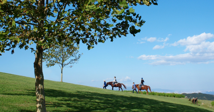 「Auberge フレンチの森」本格フレンチコースと乗馬を満喫 非日常を体感『Auberge宿泊付き乗馬体験プラン』を開始！