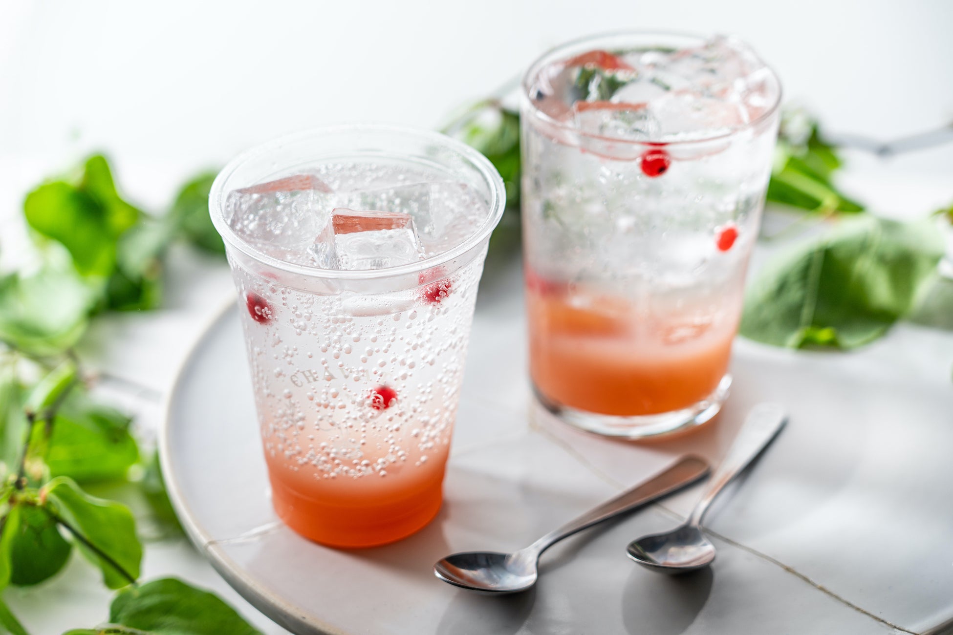 昆虫食セミナー＆食体験・販売 in 農大マルシェ！