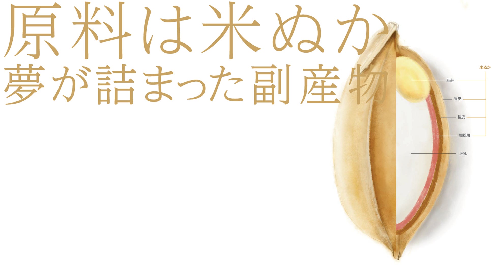 築野食品工業株式会社「ifia JAPAN 2024」に出展！