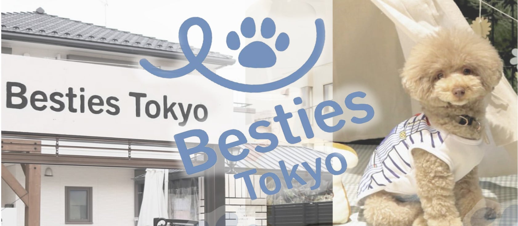 東京・新小岩に、質の高いお食事が自慢のドックラン併設カフェ「Besties Tokyo」がオープン！