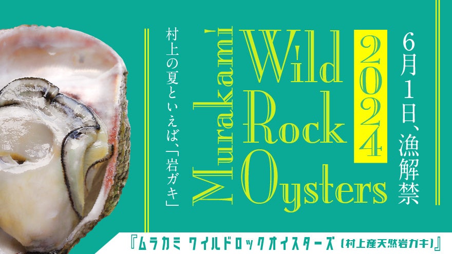 村上産 天然岩ガキが楽しめる「ムラカミ ワイルドロックオイスターズ2024」を開催中