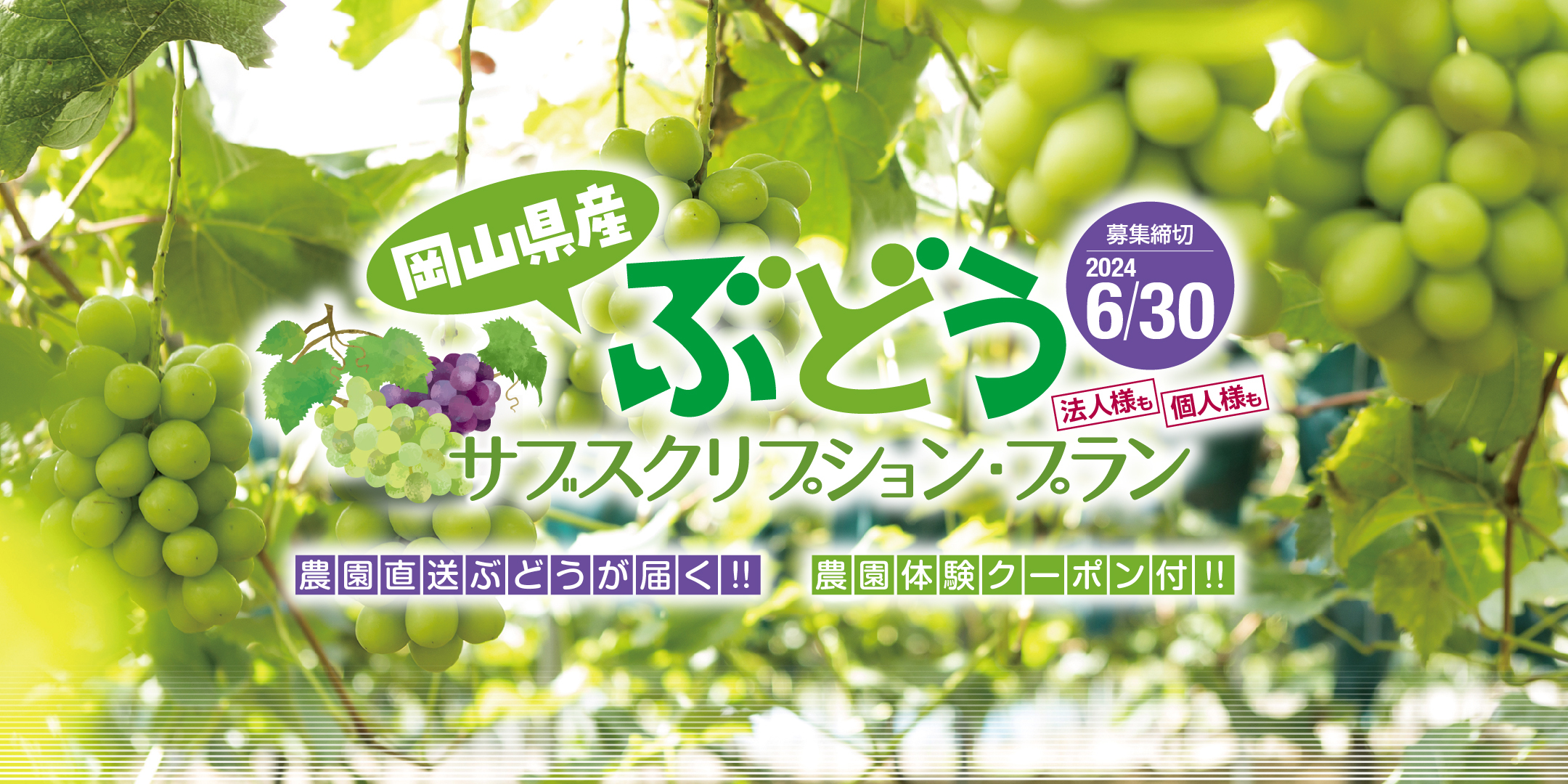 希少なカイノミを使用した星型お肉ギフトを7/7まで販売！
おひとり様需要にあわせ15・20ピースに加え10ピースも登場