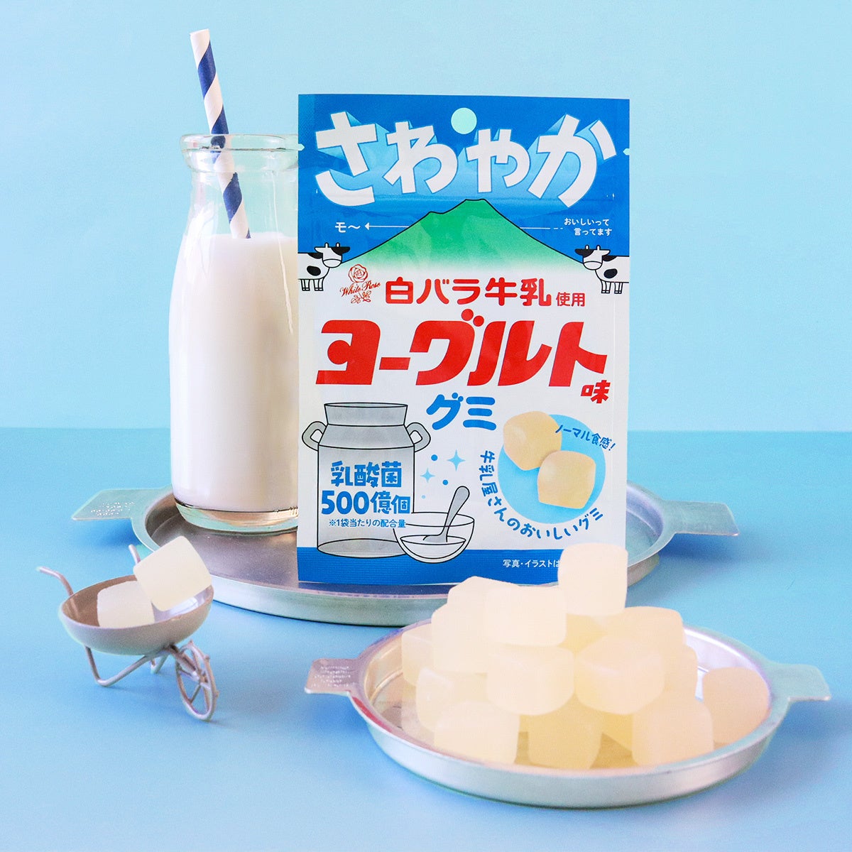 【大山乳業農業協同組合様の白バラ牛乳を使用した「白バラ牛乳使用ヨーグルトグミ」が新発売！】