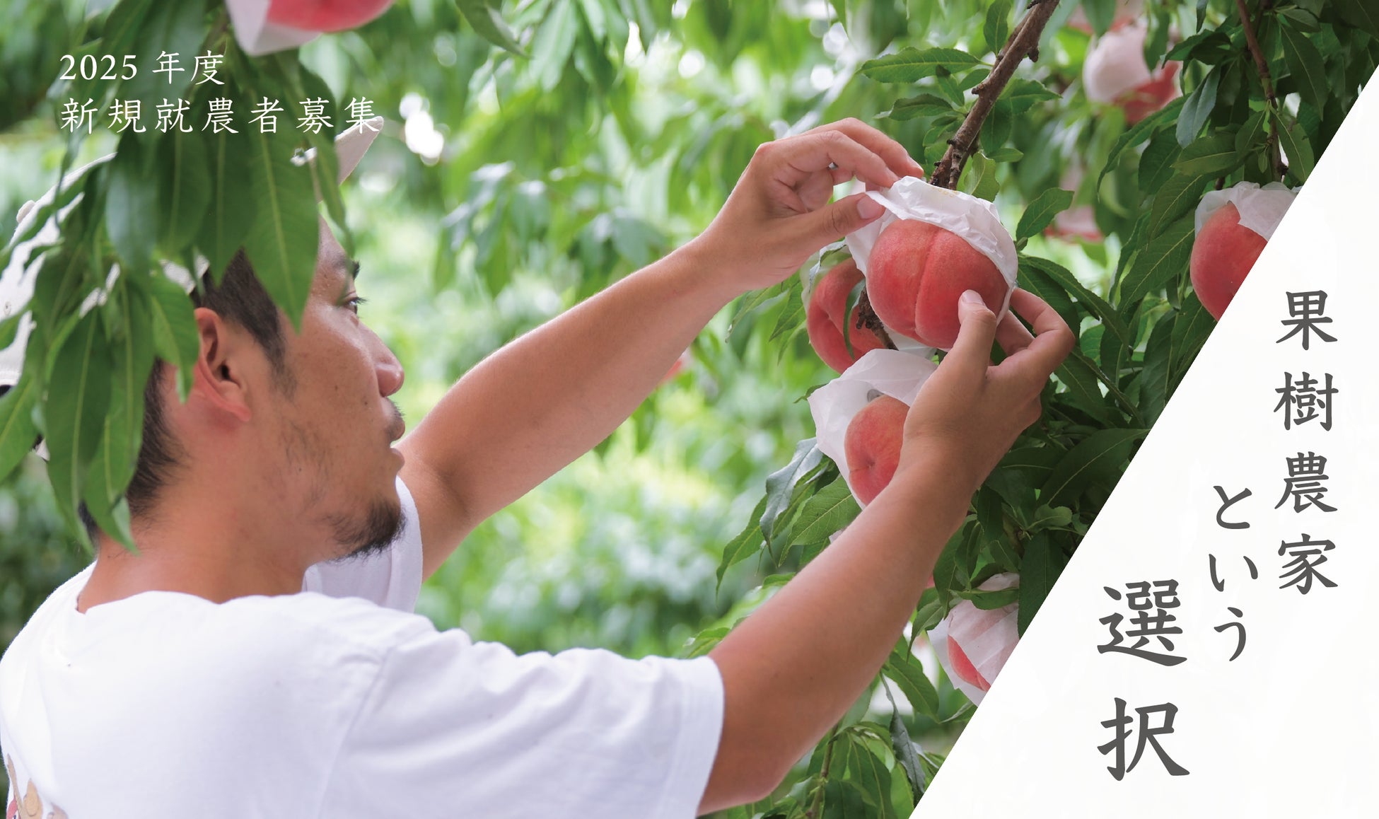 果物専門EC「Bonchi」が若手の新規就農者募集を開始。果樹農家を目指す全ての若者に、就農リスクや独立ハードルを大幅に抑えた全く新しい就農ルートを提案。
