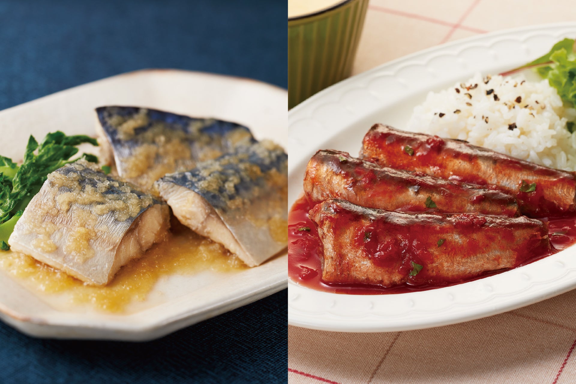 おいしく手軽に青魚を食べよう！パウチタイプの健康パウチシリーズに新しい味付2種が登場！