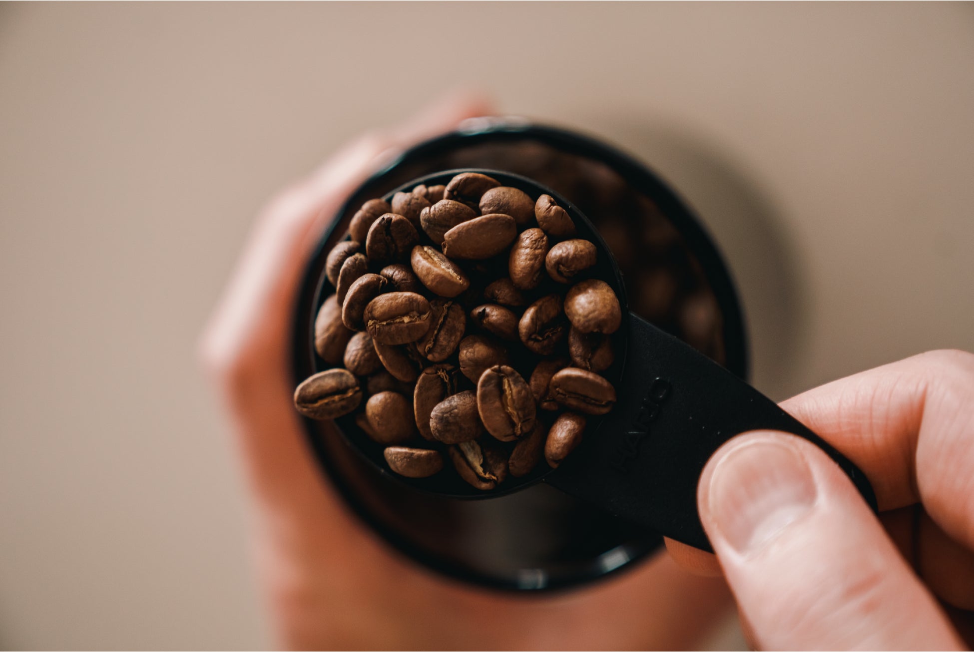 スペシャルティコーヒー豆専門のセレクトEC『Beans.』オープン