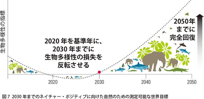 【数量限定】大好評の山梨の地ビールが瓶になって登場！富士山の水と駿河湾の塩を使った「戸田塩ライトラガー」発売