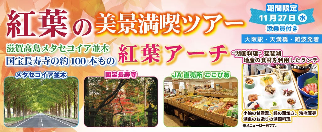 お一人様10,800円！〈大阪駅・天満橋・なんば発着〉11月27日(水) 紅葉の美景満喫ツアー滋賀高島メタセコイア並木国宝長寿寺の約100本もの紅葉アーチ。〈添乗員付き〉日帰りバスツアー