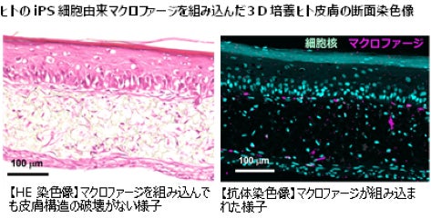 【95年間をまるっと感謝！】もち吉創業祭特別セールを9月14日より５日間開催！年に一度の袋物2割引きセールを実施！