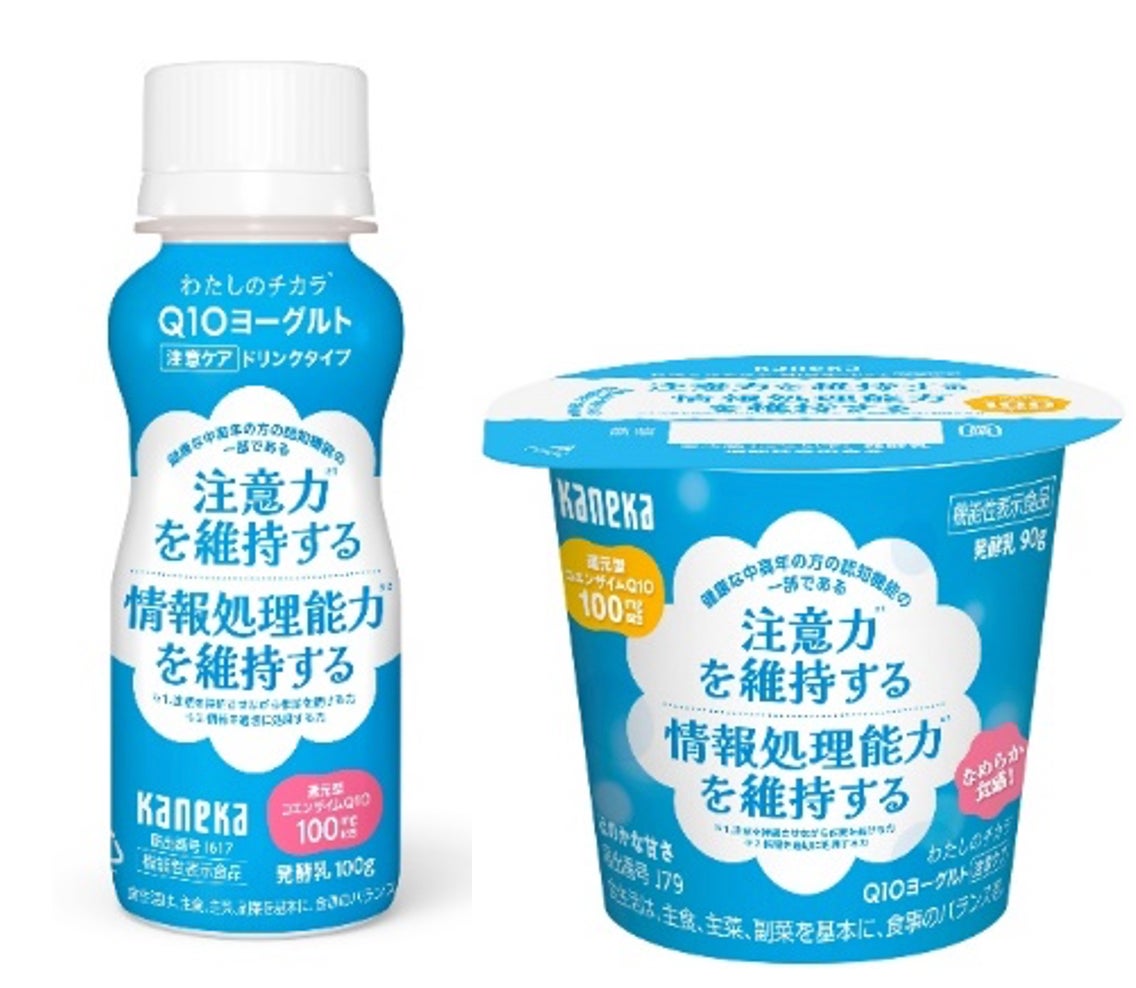 春華堂、浜松と共に多文化都市を目指して「インドはままつフェスティバル」に出店