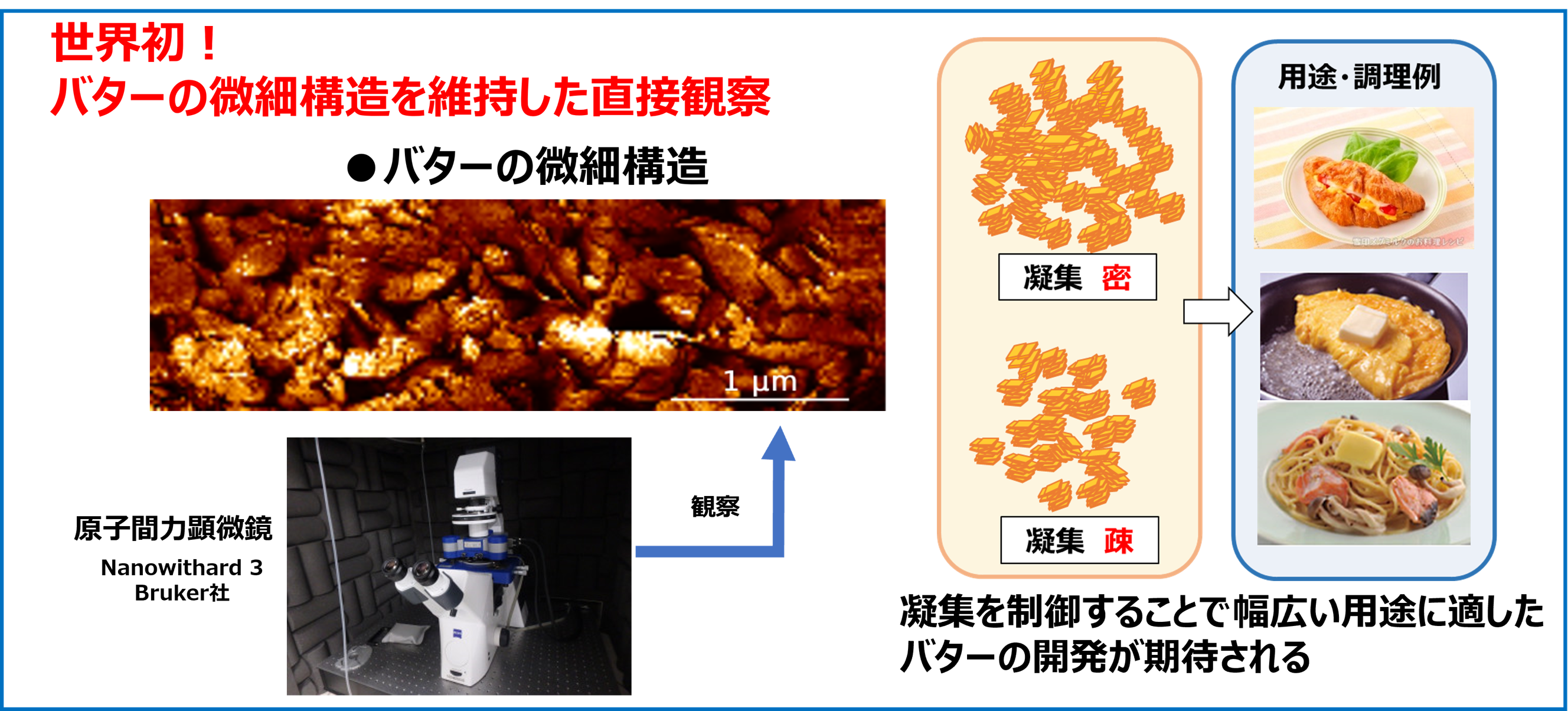 今後のバターの品質や風味向上へ期待
雪印メグミルク 原子間力顕微鏡を用いてバターの組織構造を
維持したまま直接観察できることを世界で初めて確認
2024年9月6日「酪農科学シンポジウム2024」にて発表