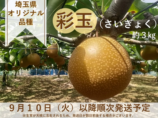 【山笑ふ】2025年の御節は「肉おせち」！ 9月13日(金)から予約受付開始~早期予約で割引特典 ~