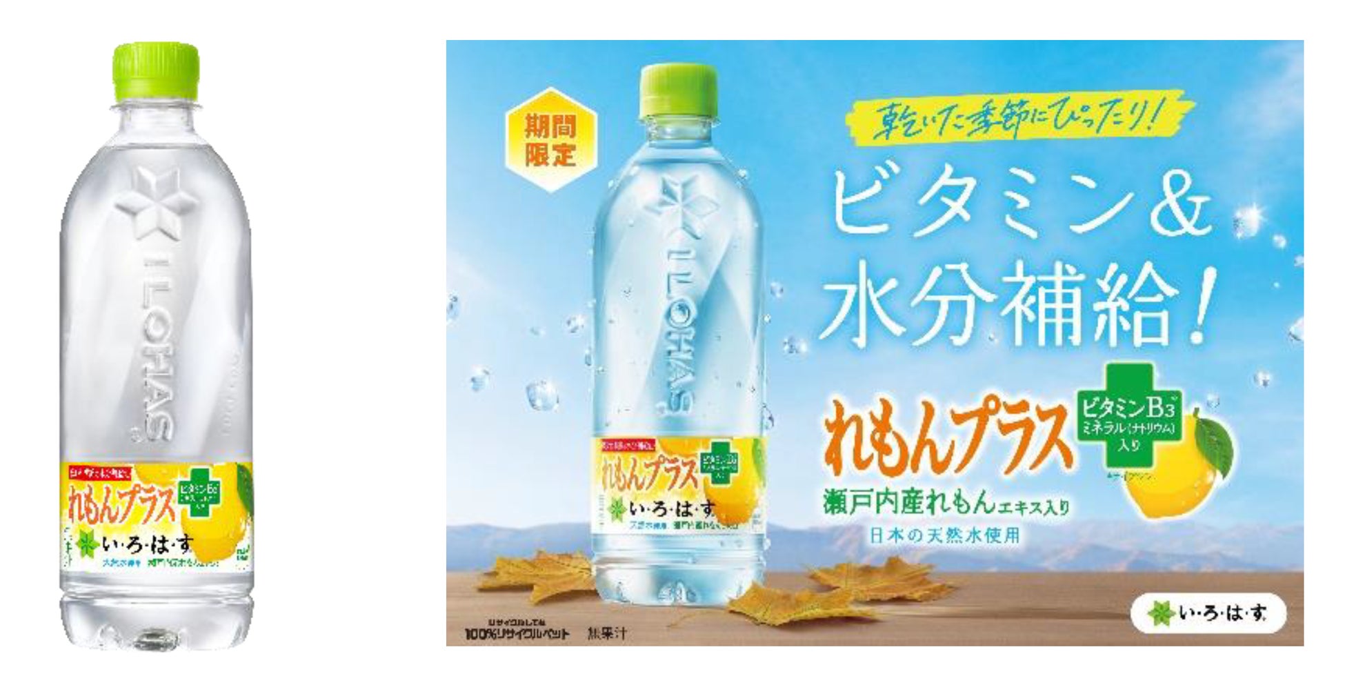 収穫の秋！静岡県でイタリアの農園主が風味・香り豊かなオリーブオイルをつくる２日間　9/29,10/24＠袋井市