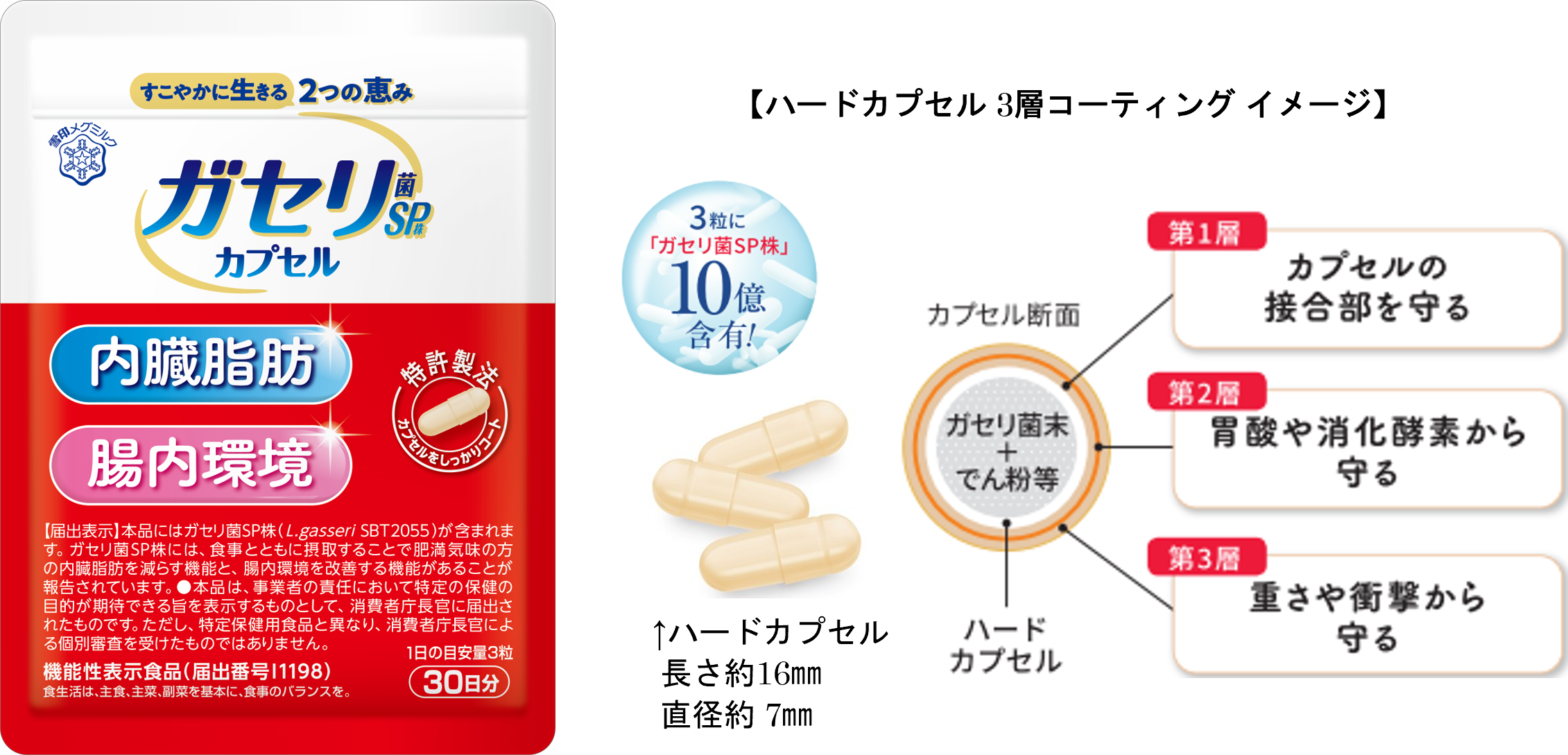 ～10月は食品ロス削減月間～　プロスノーボーダー岩渕麗楽選手が「サルベージ・パーティ」を初体験！