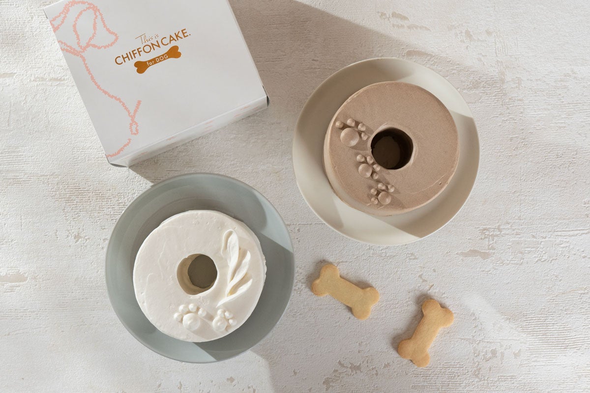 【新発売】「This is CHIFFON CAKE. for DOG」より、2種類の犬用ケーキ『Shiro』と『Carob』が登場！