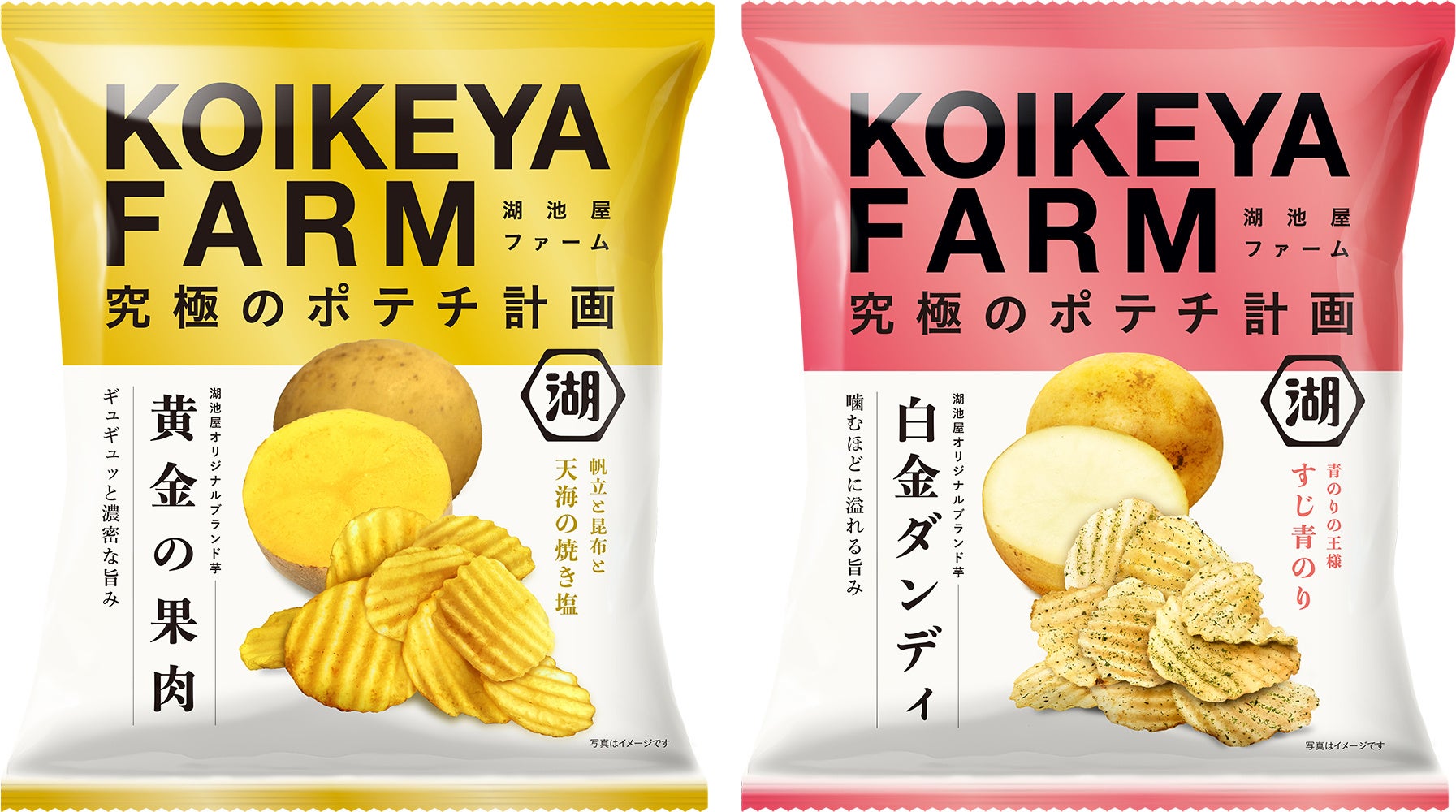 “湖池屋オリジナルブランド芋でつくるポテトチップス”ついに定番化！「KOIKEYA FARM 黄金の果肉 天海の焼き塩／白金ダンディ すじ青のり」 – プロモーションには相葉雅紀さんの起用が決定！ –