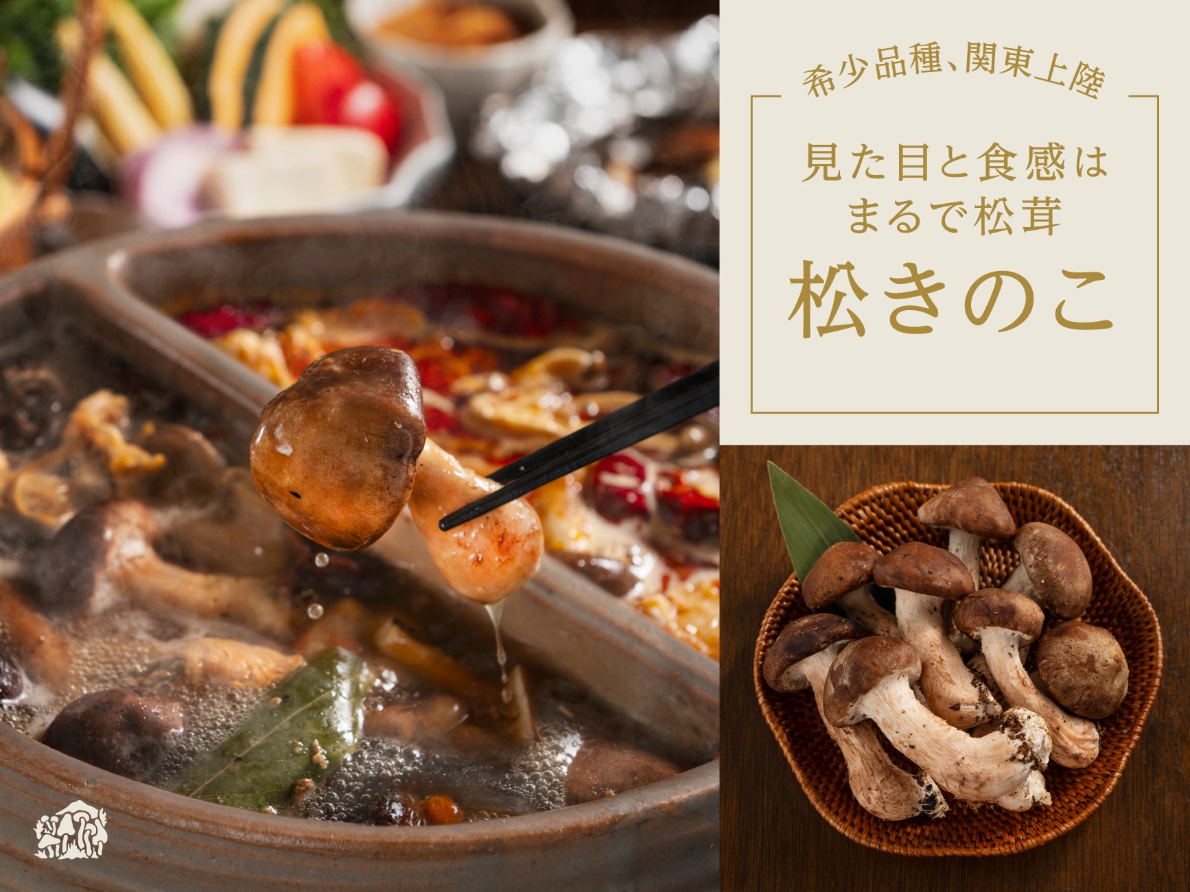 銀座のステーキ 本店 10周年記念キャンペーンを実施！A5黒毛和牛サーロインステーキ食べ放題コースが新登場