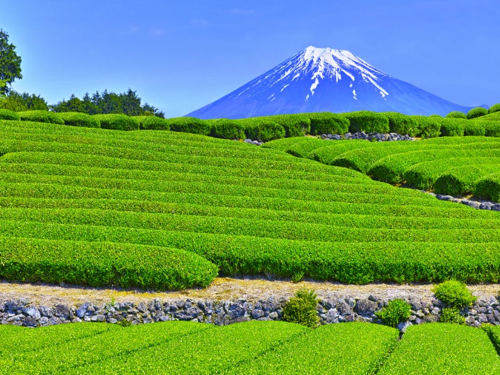 静岡県による未利用食材活用マッチング支援事業をシェアシマがサポート