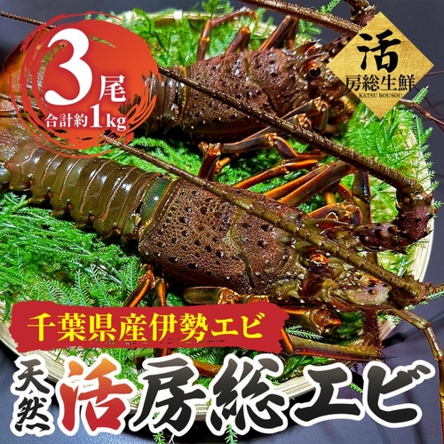 鹿児島県大隅半島の小いもプロジェクトから誕生した新商品　
農福連携と食品ロスを解決する「ノウフク スナック」を11月発売