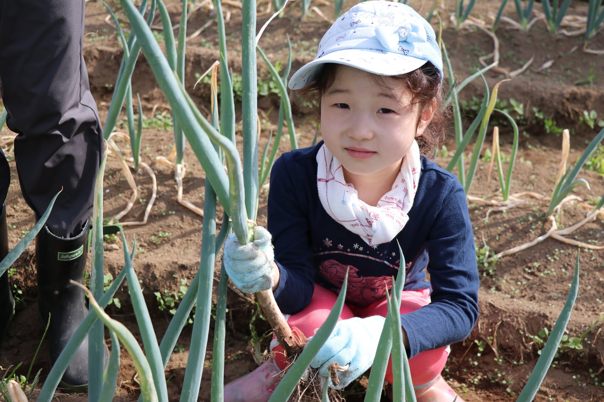 宇都宮市で大試食会　メーカー・産地約45社が出展　11月9日（土）〔茨城 栃木〕