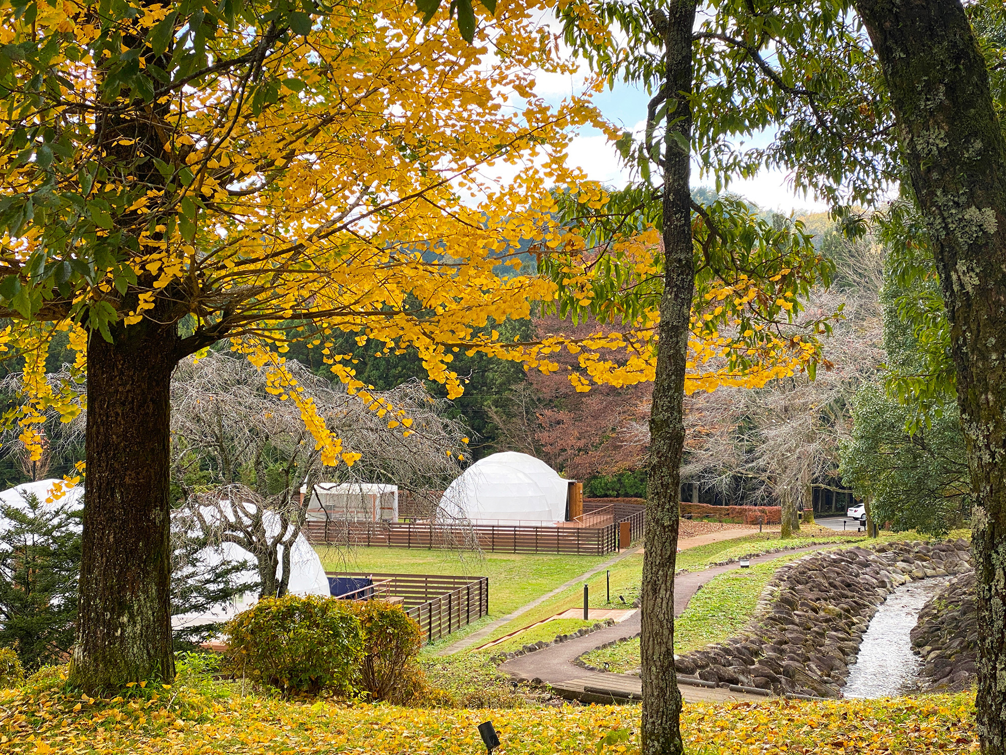 栃木のグランピングリゾート「ブリリアントヴィレッジ日光」にて
紅葉や幻想的なイルミネーションを楽しめる秋冬プランを販売！