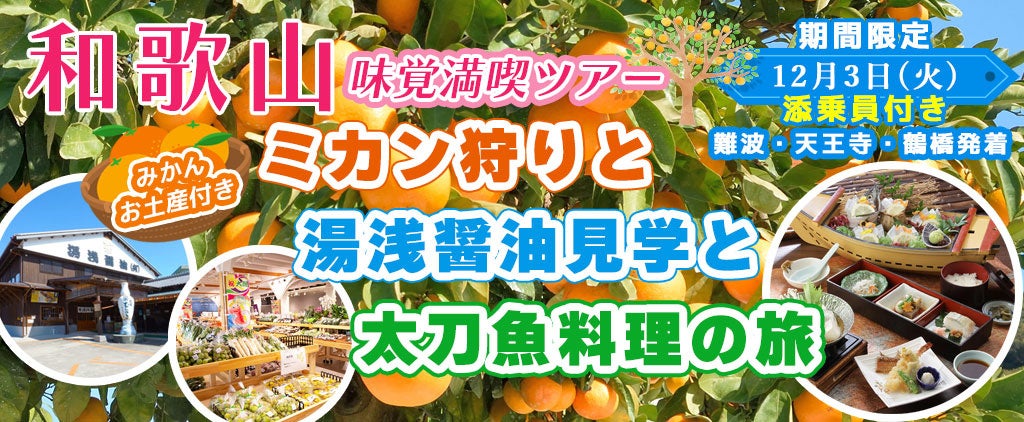 和歌山味覚満喫ツアー：お土産付き！！ミカン狩りと湯浅醤油見学と太刀魚料理の旅12月3日(火) 〈難波・天王寺・鶴橋発着〉お一人様11,300円！〈添乗員付き〉日帰りバスツアー