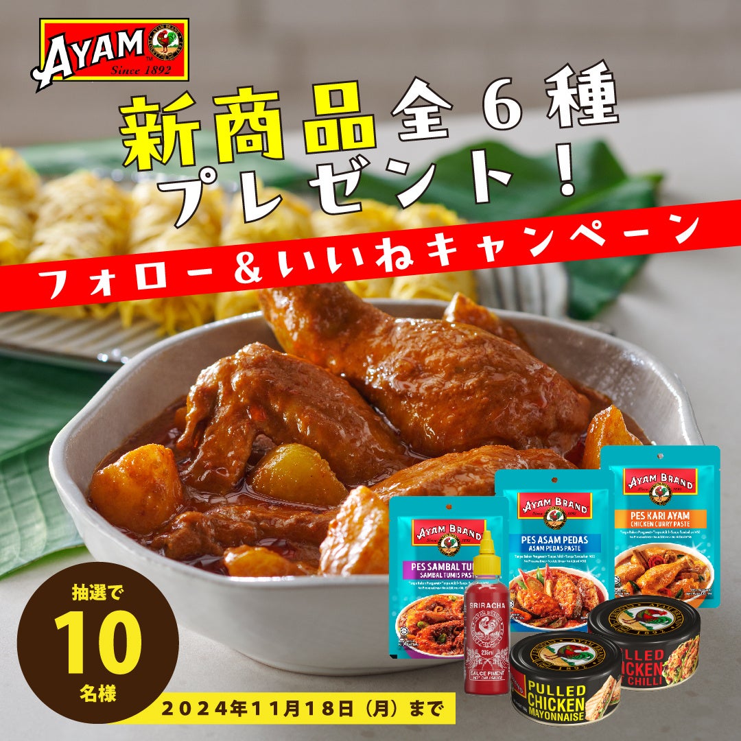 エスニック食材「アヤム」新商品の詰め合わせが10名さまに当たる！Instagramキャンペーンを11/18まで開催中