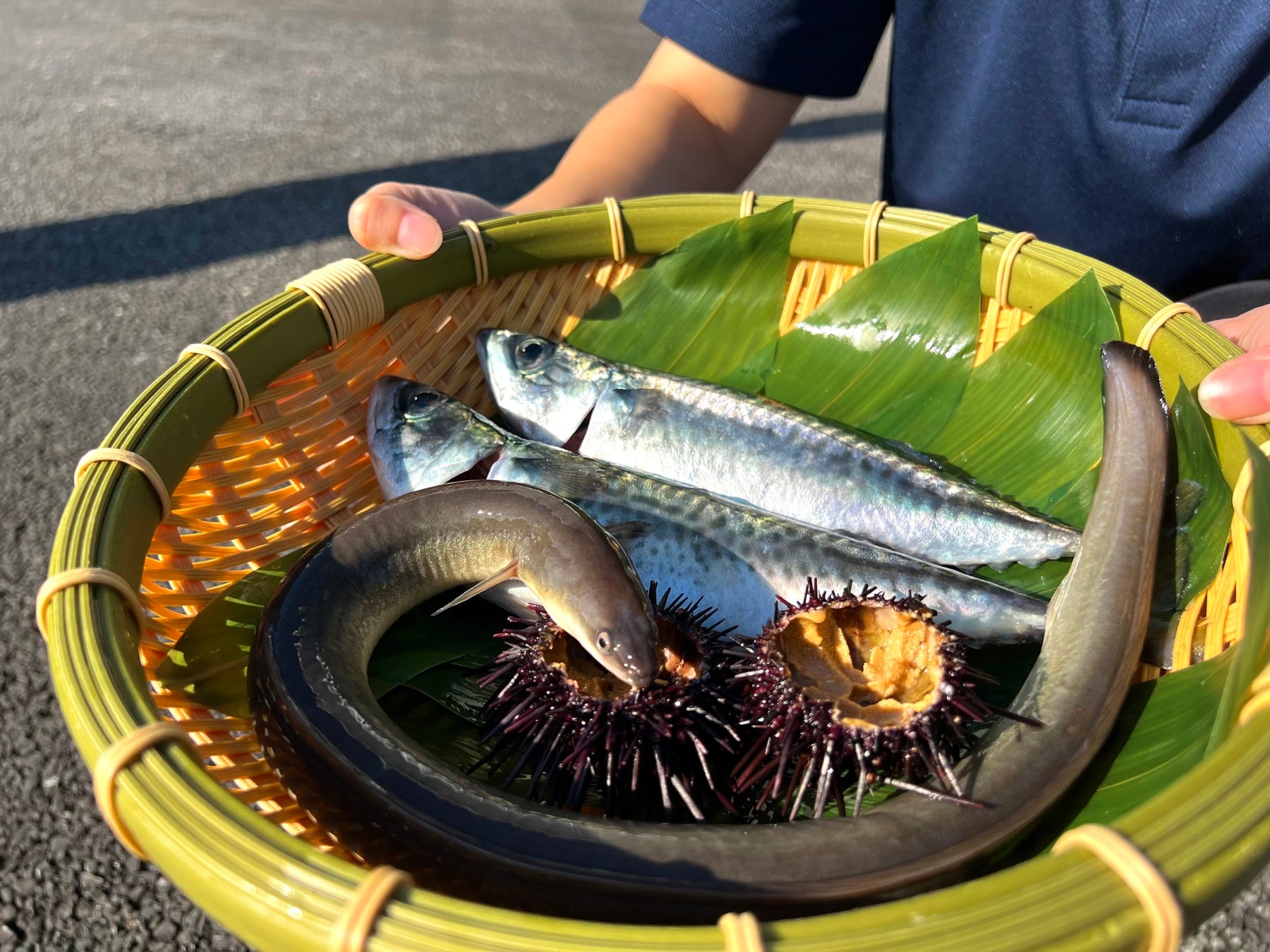 おふろcafe 白寿の湯にて「温泉サバ陸上養殖場」のサバ出荷祭り。埼玉の養殖事業者コラボによる「うに、うなぎ、さば」を使った限定メニューを販売